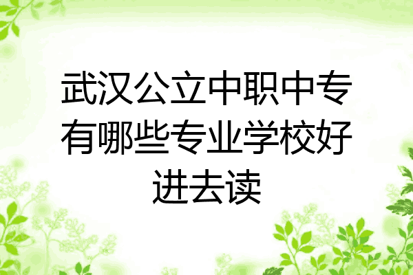 武汉公立中职中专有哪些专业学校好进去读