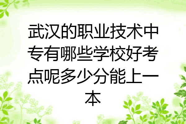 武汉的职业技术中专有哪些学校好考点呢多少分能上一本