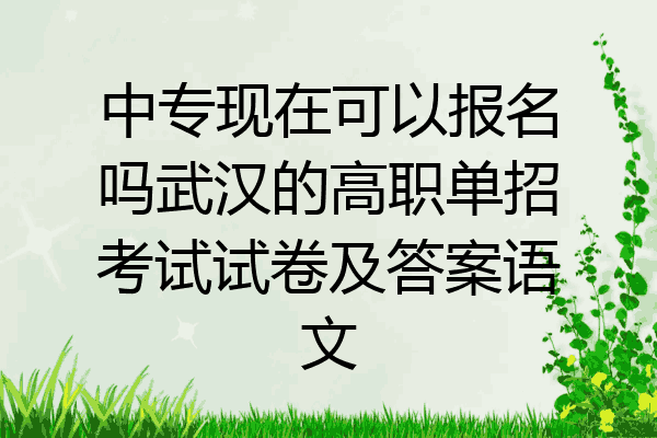 中专现在可以报名吗武汉的高职单招考试试卷及答案语文