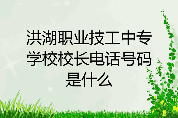洪湖职业技工中专学校校长电话号码是什么