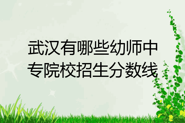 武汉有哪些幼师中专院校招生分数线