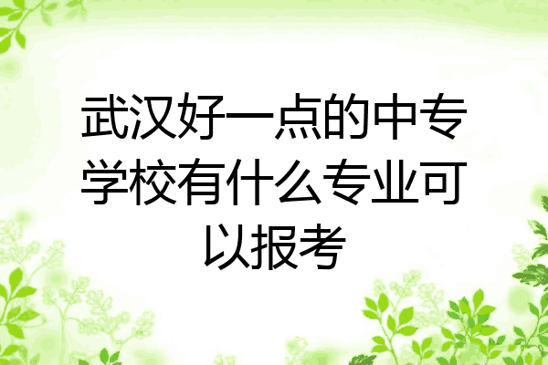 武汉好一点的中专学校有什么专业可以报考