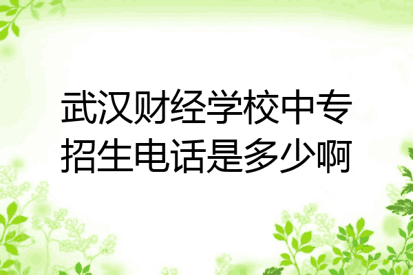 武汉财经学校中专招生电话是多少啊