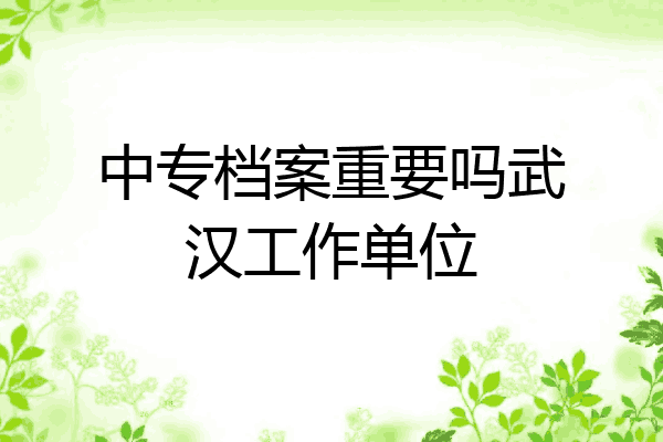 中专档案重要吗武汉工作单位