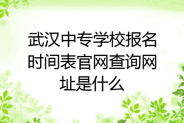 武汉中专学校报名时间表官网查询网址是什么