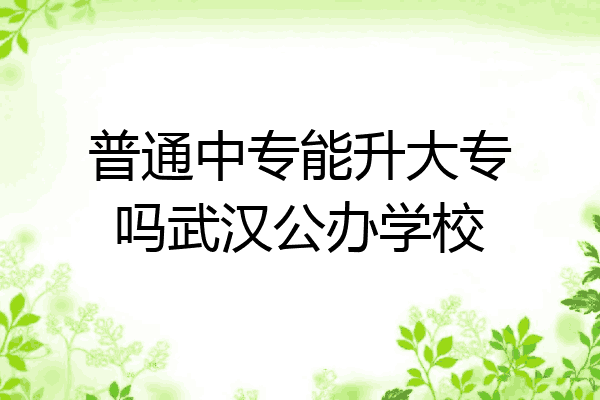 普通中专能升大专吗武汉公办学校