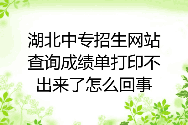 湖北中专招生网站查询成绩单打印不出来了怎么回事