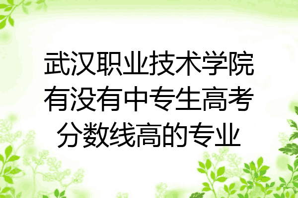 武汉职业技术学院有没有中专生高考分数线高的专业
