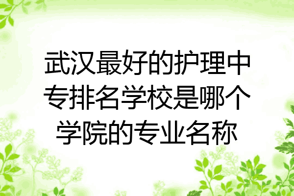 武汉最好的护理中专排名学校是哪个学院的专业名称