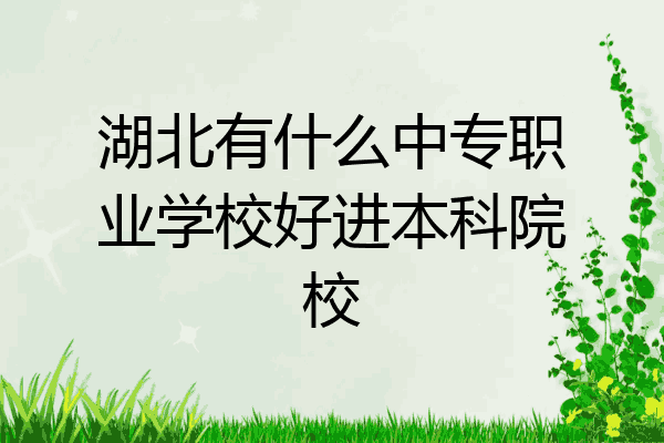 湖北有什么中专职业学校好进本科院校