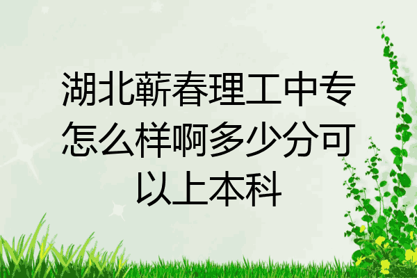 湖北蕲春理工中专怎么样啊多少分可以上本科