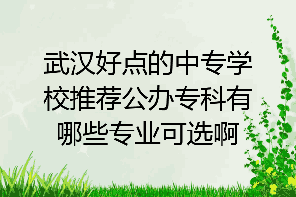 武汉好点的中专学校推荐公办专科有哪些专业可选啊