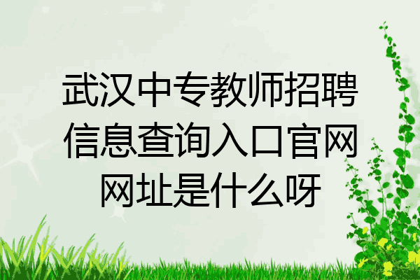 武汉中专教师招聘信息查询入口官网网址是什么呀