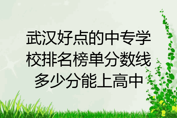 武汉好点的中专学校排名榜单分数线多少分能上高中