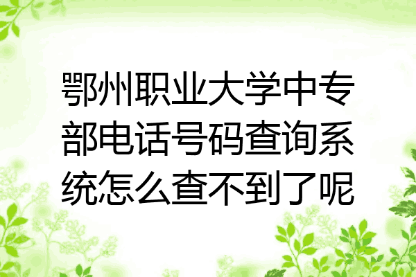 鄂州职业大学中专部电话号码查询系统怎么查不到了呢