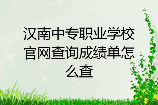 汉南中专职业学校官网查询成绩单怎么查