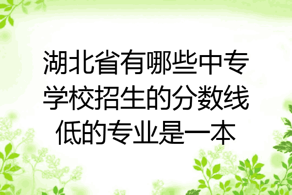 湖北省有哪些中专学校招生的分数线低的专业是一本