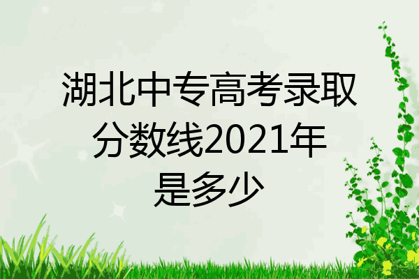 湖北中专高考录取分数线2021年是多少