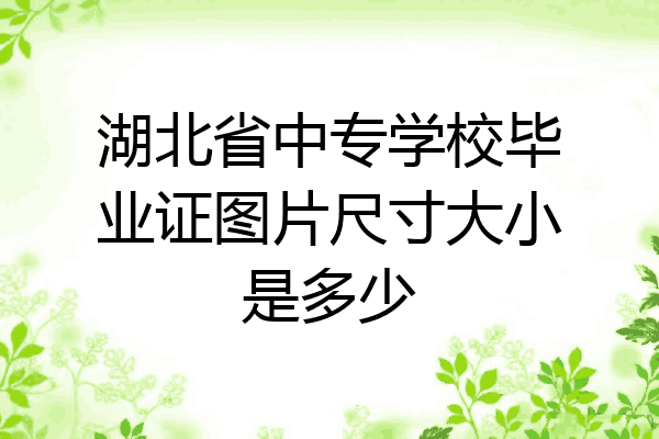 湖北省中专学校毕业证图片尺寸大小是多少