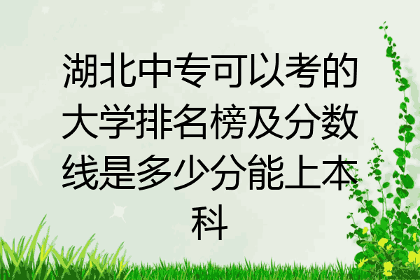 湖北中专可以考的大学排名榜及分数线是多少分能上本科