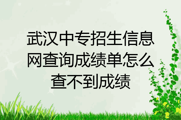 武汉中专招生信息网查询成绩单怎么查不到成绩