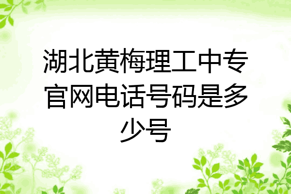 湖北黄梅理工中专官网电话号码是多少号
