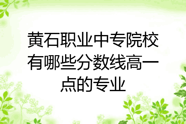 黄石职业中专院校有哪些分数线高一点的专业