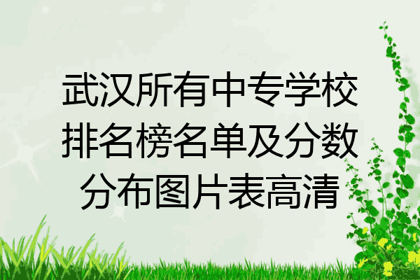 武汉所有中专学校排名榜名单及分数分布图片表高清