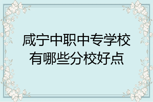咸宁中职中专学校有哪些分校好点