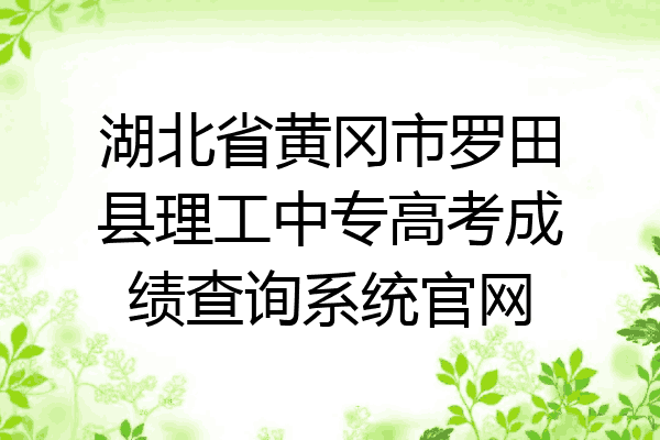 湖北省黄冈市罗田县理工中专高考成绩查询系统官网