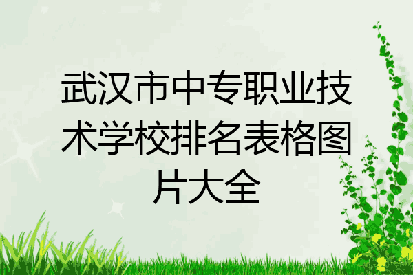 武汉市中专职业技术学校排名表格图片大全
