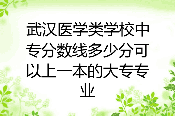 武汉医学类学校中专分数线多少分可以上一本的大专专业