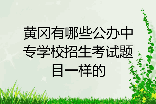 黄冈有哪些公办中专学校招生考试题目一样的