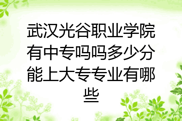 武汉光谷职业学院有中专吗吗多少分能上大专专业有哪些
