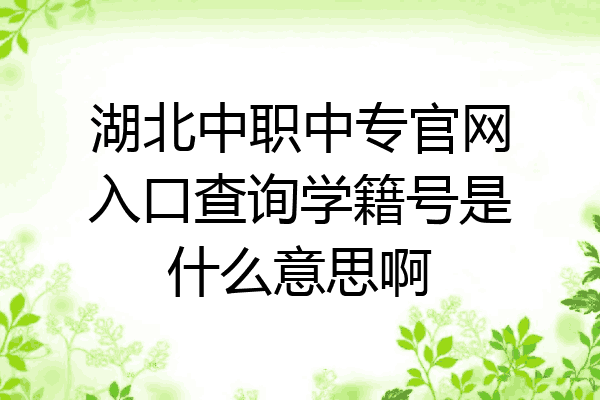 湖北中职中专官网入口查询学籍号是什么意思啊