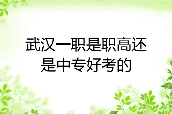 武汉一职是职高还是中专好考的