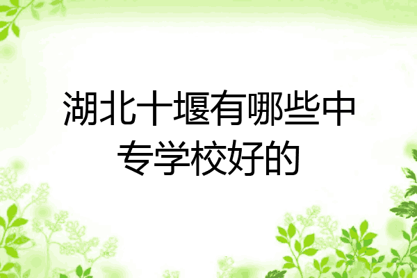 湖北十堰有哪些中专学校好的