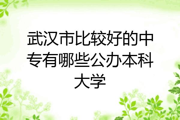 武汉市比较好的中专有哪些公办本科大学