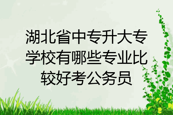 湖北省中专升大专学校有哪些专业比较好考公务员