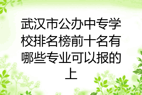 武汉市公办中专学校排名榜前十名有哪些专业可以报的上