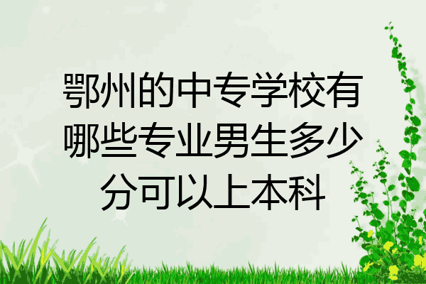 鄂州的中专学校有哪些专业男生多少分可以上本科