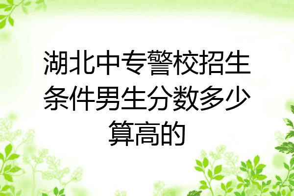 湖北中专警校招生条件男生分数多少算高的