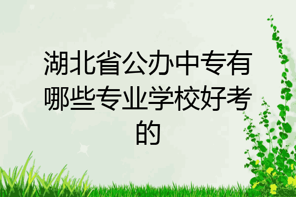 湖北省公办中专有哪些专业学校好考的
