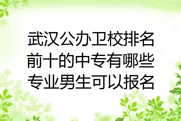 武汉公办卫校排名前十的中专有哪些专业男生可以报名