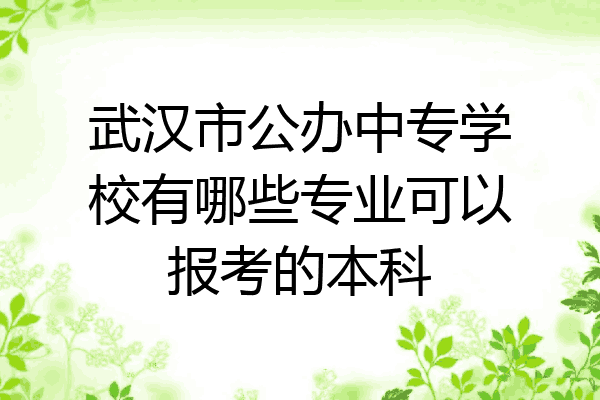 武汉市公办中专学校有哪些专业可以报考的本科