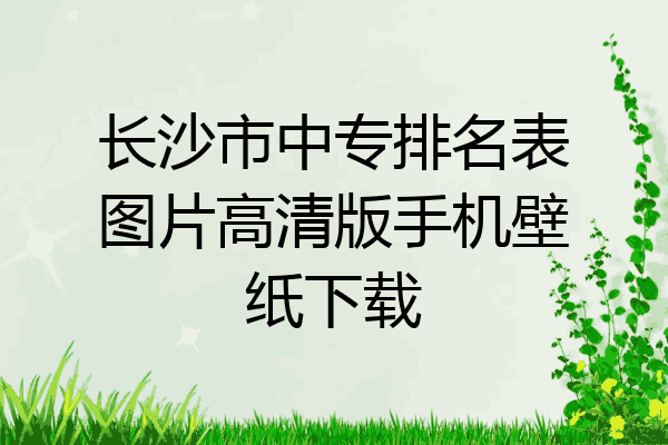 长沙市中专排名表图片高清版手机壁纸下载