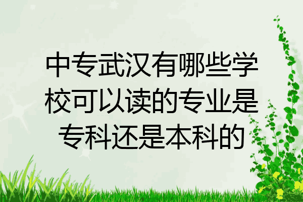 中专武汉有哪些学校可以读的专业是专科还是本科的