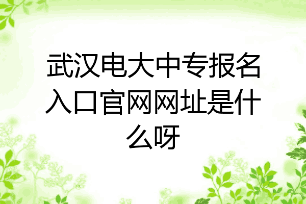 武汉电大中专报名入口官网网址是什么呀