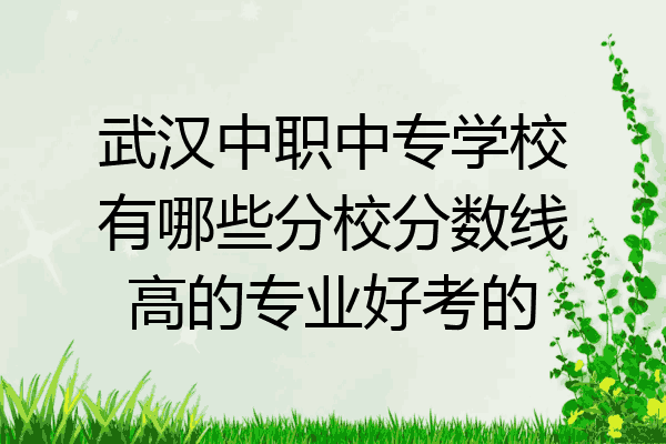 武汉中职中专学校有哪些分校分数线高的专业好考的