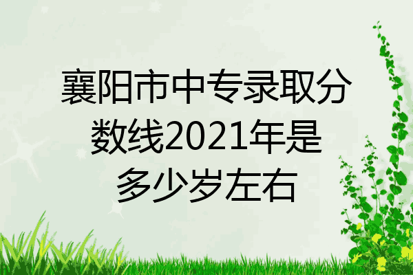 襄阳市中专录取分数线2021年是多少岁左右